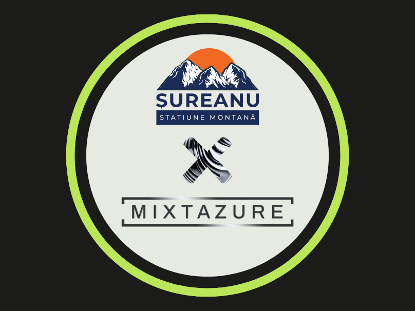 Studiu de caz SEO pentru Șureanu Studiu de caz SEO pentru Șureanu